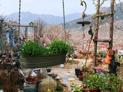 -荒度咖啡(北九水店)