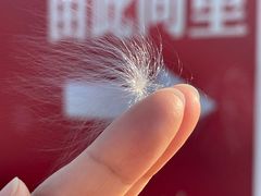 -小洋口旅游度假区