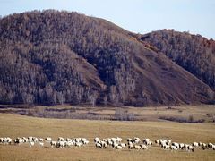 -塞罕坝国家级自然保护区