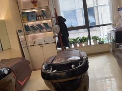 -碧莲盛·不剃发植发