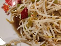 醋溜有机豆芽-福苗小骆驼烧烤(大唐不夜城店)