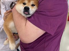 -宠颐生宠物医院·心肾内科·猫专科诊疗中心宠巢店