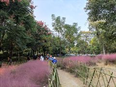 -云龙湖旅游景区