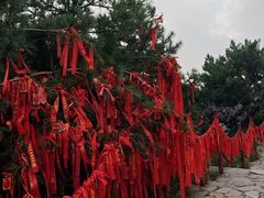 -泰山风景名胜区