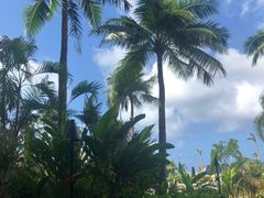 -塞班肯辛顿酒店Kensington Hotel Saipan