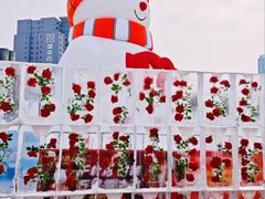 -盛京大奥莱(沈阳奥体店)
