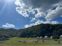 -大水川景区