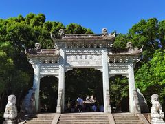 -紫竹林