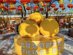 -北陵公园