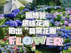 -厦门明发国际大酒店(会展中心环岛路店)