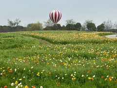 -歌斐颂巧克力小镇