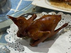 -石岐乳鸽村(南海第三分店)