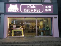 -70cat德文卷毛猫·缅因猫纯种猫舍