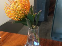 -Seesaw Coffee(上海尚悦湾店)