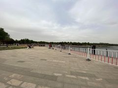 -武清南湖绿博园