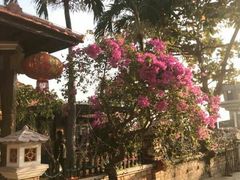 -越海渔村