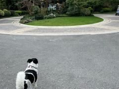 -杭州桐庐康莱德酒店西餐厅-舍