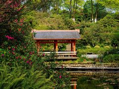 -南山植物园