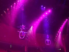 -珠海横琴长隆《卡卡虎奇遇记》