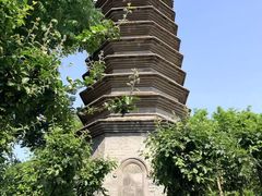 -正阳书局(西四南大街店)