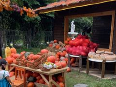 -HERRE·FARM 赫尔露营农场·团建聚会包场