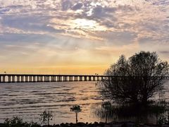 -宝安西湾红树林湿地公园