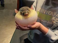 -永安鱼庄·镇江菜(东吴路店)