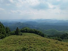 -莫干山风景区