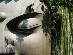 -杭州植物园