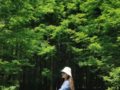 -桤木河湿地公园