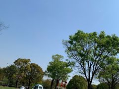 -上海月湖雕塑公园