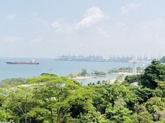 -圣淘沙天际线斜坡滑车
