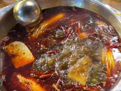 -金鼎雪山牦牛杂火锅(理县总店)