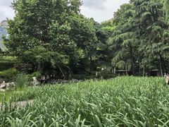 -静安公园(静安寺街道)