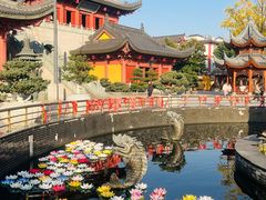 -上海东林寺(金山区)