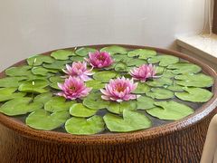 -第六季自助餐厅(甜水园店)