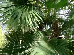 -同里国家湿地公园