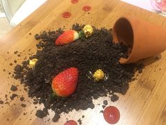-MEET缘燕窝甜品&Tang's cake(华润万象城店)