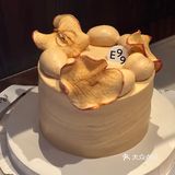 它们家每一款的颜值都正中我心❗️