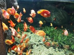 -福州罗源湾海洋世界旅游区