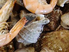 -鑫渔港海鲜本地菜·山海关浑锅(东戴河店)