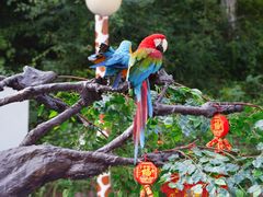 -乐和乐都主题乐园