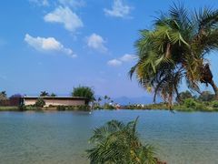 -月亮湾湿地公园