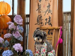 -巴倒烫陆派火锅山庄(南山总店)