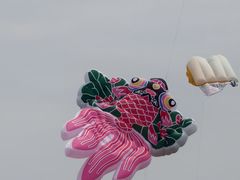 -潍坊滨海云门国际风筝放飞场