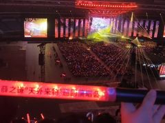 -南京奥林匹克体育中心-体育馆