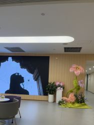 -上海伊莱美医疗美容医院