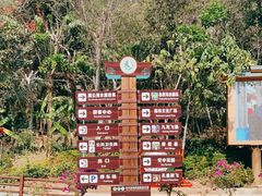 -西双版纳原始森林公园