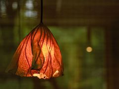 -绵阳人民公园(涪城区)