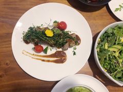 -百好乐宠物友好餐厅(朝外大街店)